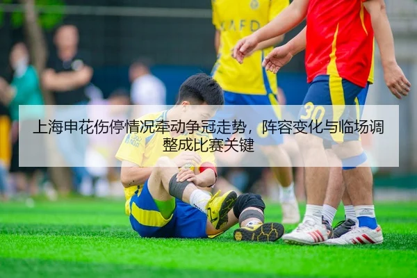上海申花伤停情况牵动争冠走势，阵容变化与临场调整成比赛关键